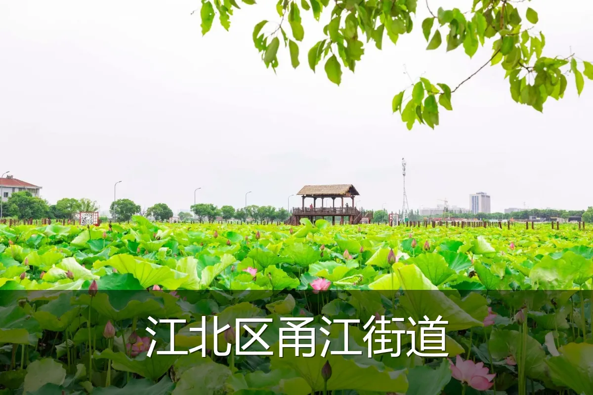 江北区甬江街道